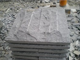 Grey Mushrooms Stone